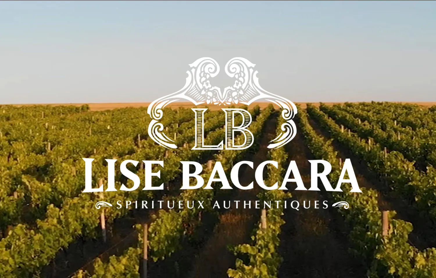 Lise Baccara – Maison de cognac et de spiritueux d’exception depuis 1988