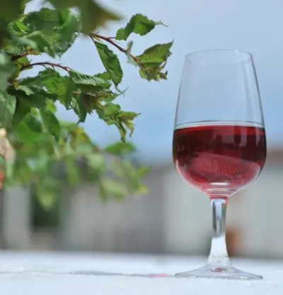 Glass of Troussepinète French elixir showing ruby reflections and delicate aromas of blackthorn and almond